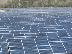 solar-field